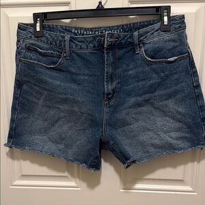 Articles Of Society Dark Blue Jean Shorts